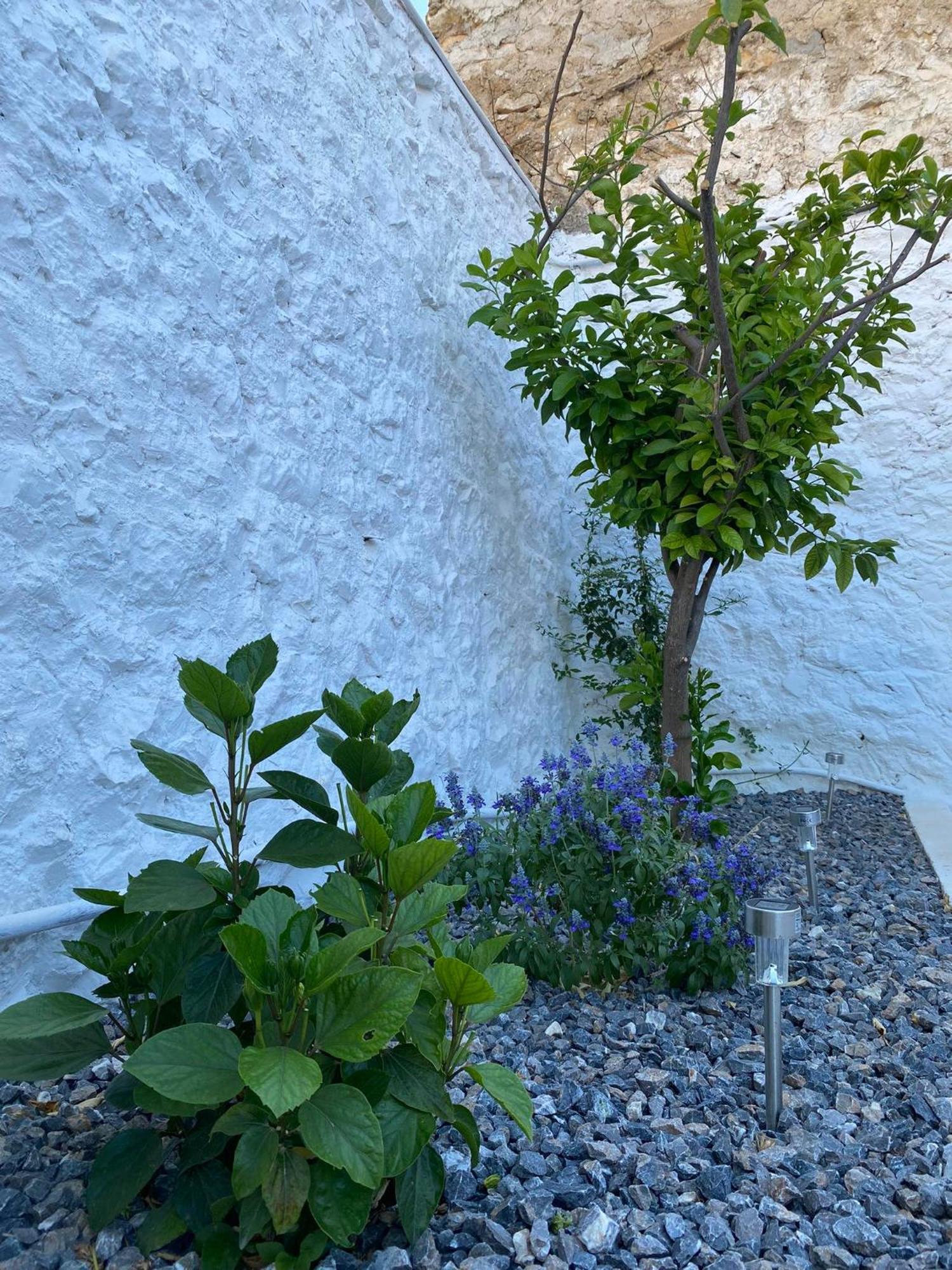 Ma Maison Nafplio Villa Dış mekan fotoğraf